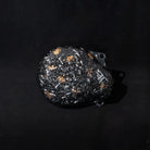 Forged Carbon Fiber ignition cover for KTM