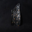 Forged Carbon Fiber rear shock guard for KTM